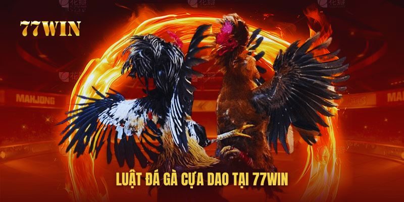 Chia sẻ luật chơi đá gà cựa dao tại 77win