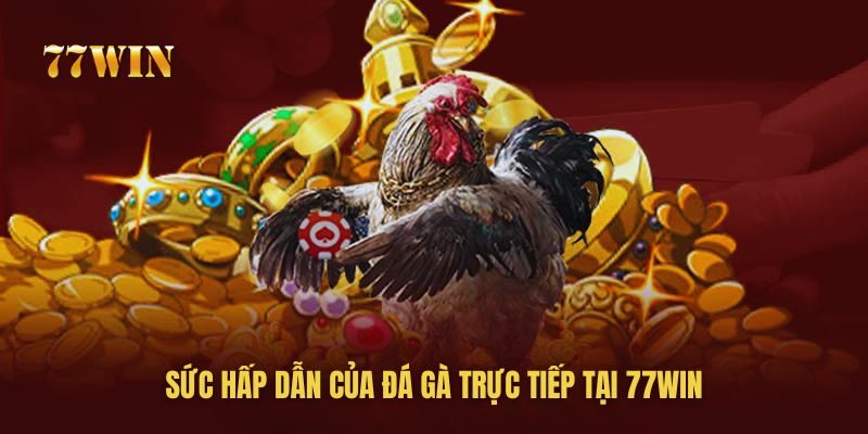 Đá gà trực tiếp tại 77win là bộ môn yêu thích của các hội viên